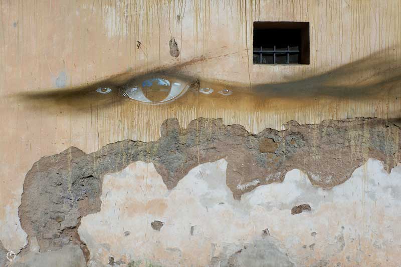 My Dog Sighs in Rome Forgotten Project